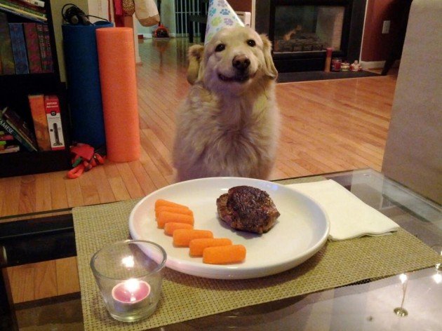 Dog Birthday - https://www.facebook.com/diplyofficial