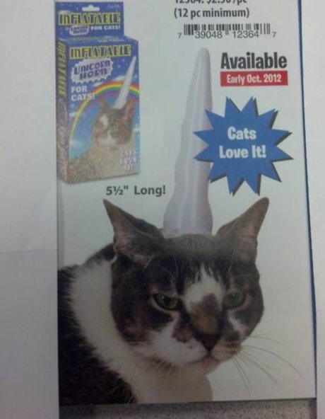 # Animals Who Despise Their Humans For Dressing Them Up For Halloween 6 - https://www.facebook.com/diplyofficial