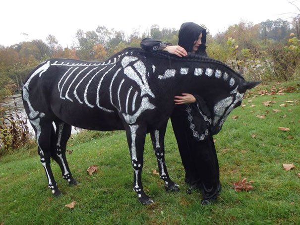 Skeleton Horse