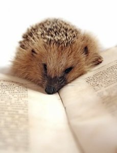 081e0cabbaa31895dfb538ef1b6ec87a