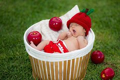 13978964469_b10e3a70dc_m