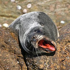 3599563685_79965a6f3a_m