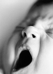 45767168_e03d49dbcc_m