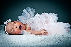 4687012498_03a6283790_m