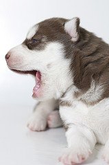 5730706035_5d850b7e36_m