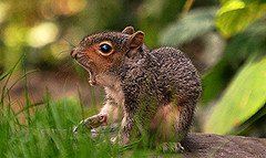 8255856414_e92fa4ba9f_m