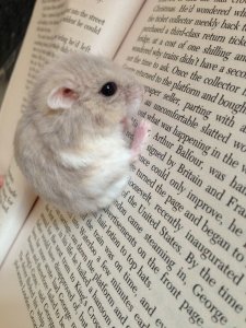 f59abff1ee26c71a895edce1935bf47d