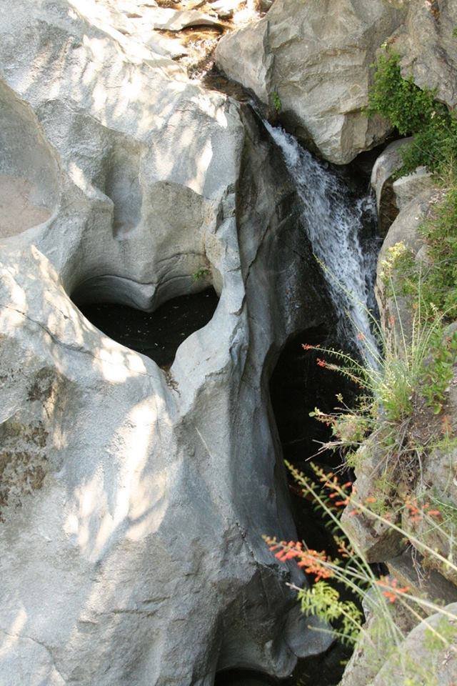 10427684_1093914947315752_8876153741551804513_n