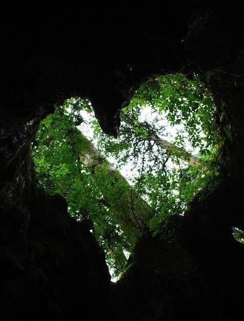 10906399_1093914590649121_411738409925226089_n