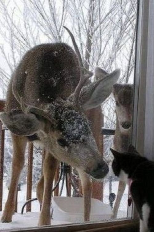 57abeca9e56f75101292098069dde5f2