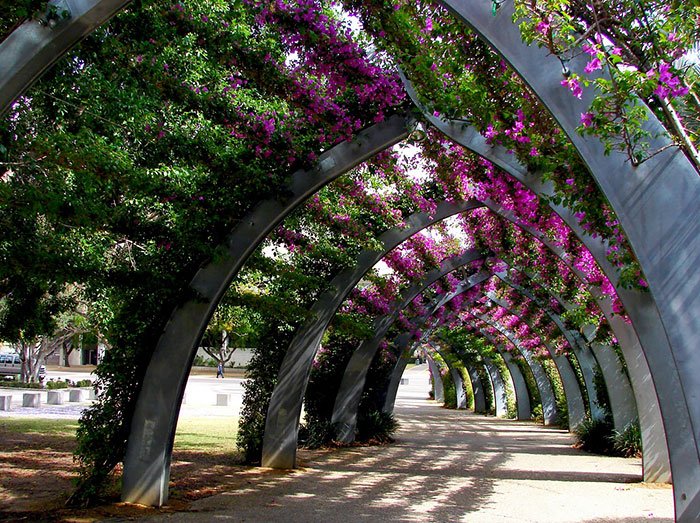 beautiful-streets-trellis-canopies-16