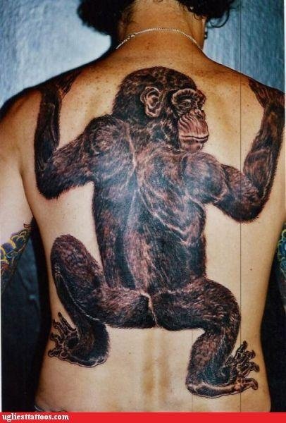 381b722e99f8201213c5c0949763889e