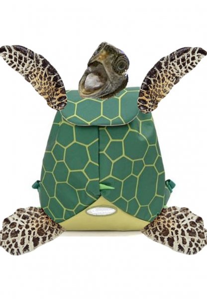 Caretta