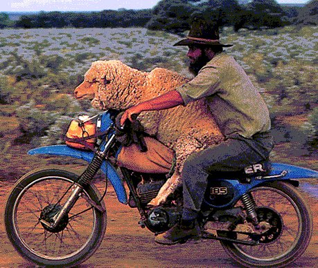 bizarre motorcyclist
