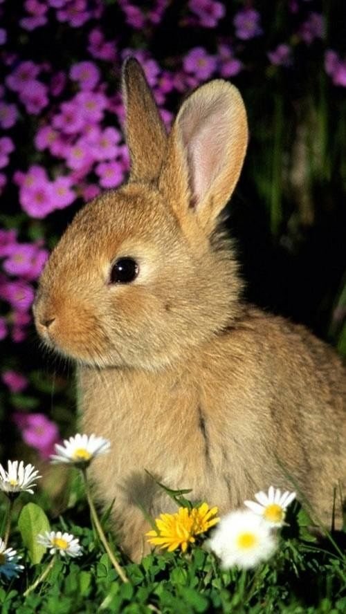 1b081bfac6ba2221a95f5819ad5560bc