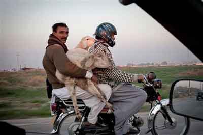 bizarre motorcyclist