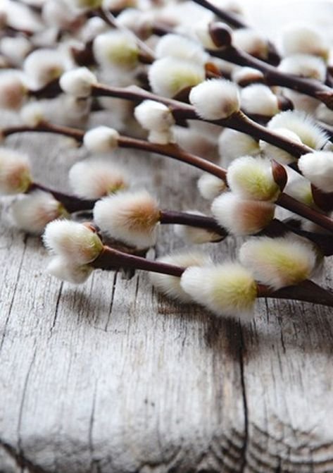 46c4e0c8b76512358ba2678c676a52ed