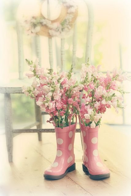 497a7d88b23b5e7c0e567266b95a902c