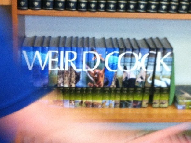 enhanced-18282-1399994387-13