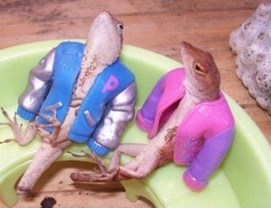 enhanced-18744-1399994228-33