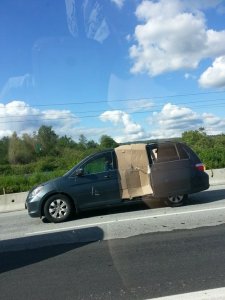 enhanced-buzz-10059-1372098593-47