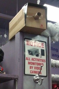 enhanced-buzz-21638-1372102575-3