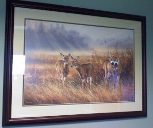 enhanced-buzz-25280-1372099557-12