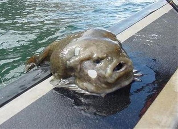 enhanced-buzz-3518-1363193852-5