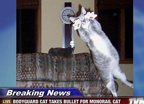 slide_205607_627421_large