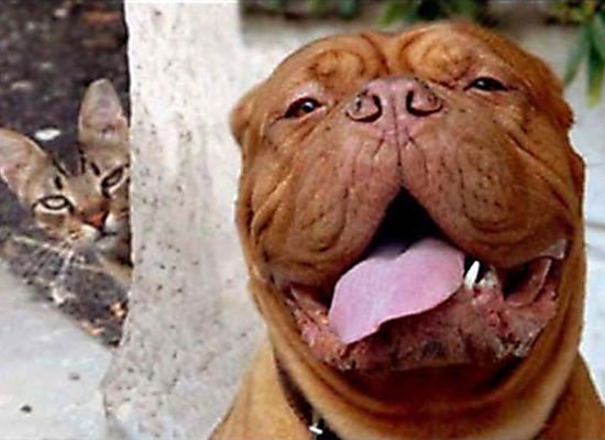 slide_205607_627422_large