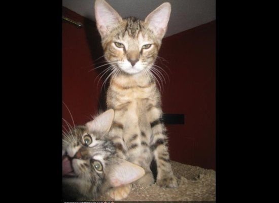 slide_205607_627426_large