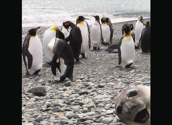 slide_205607_627429_large