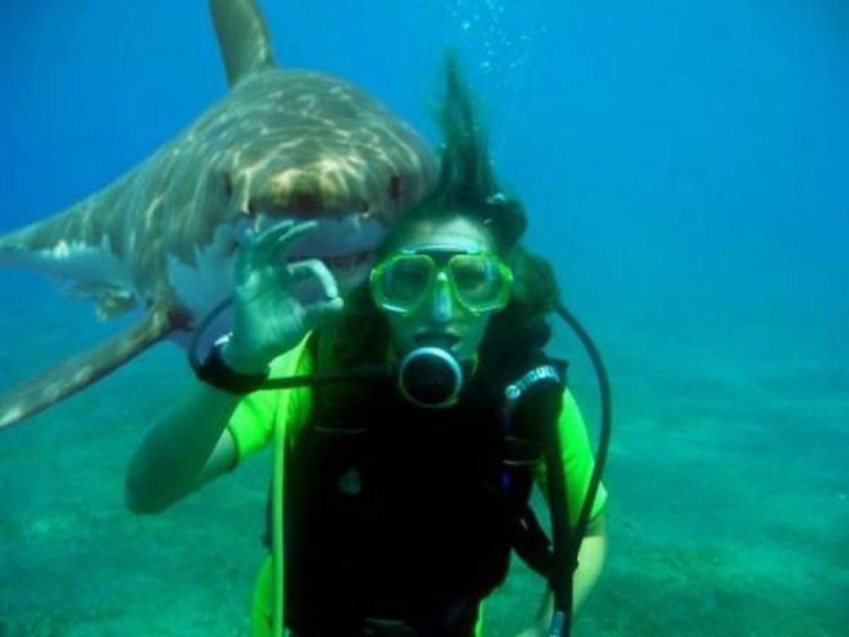 slide_205607_631474_free