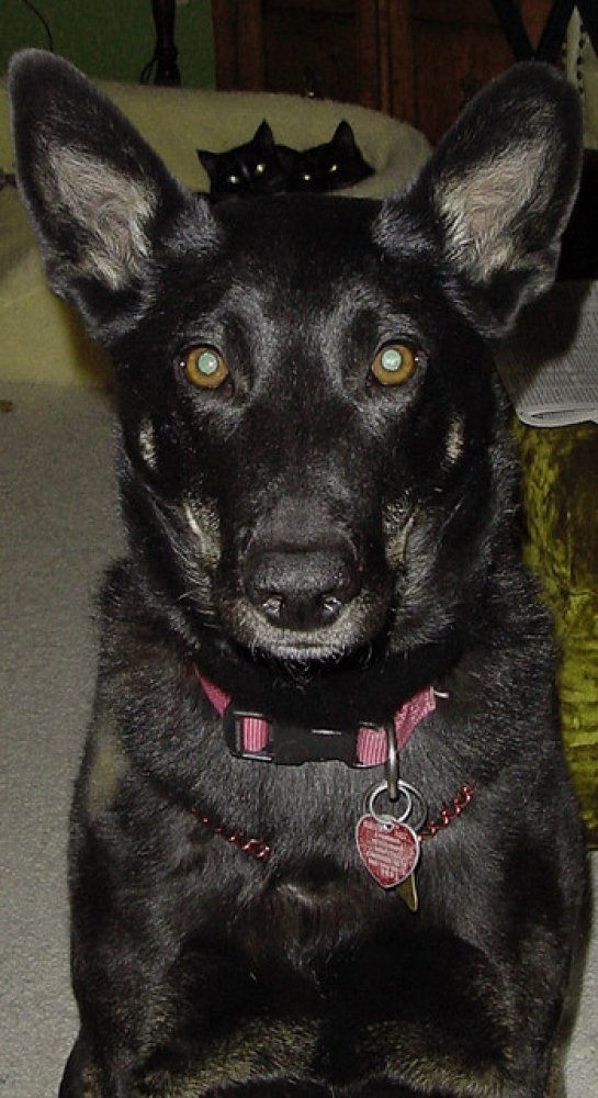 slide_205607_631784_free