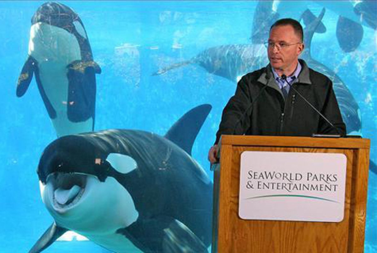 slide_205607_631790_free