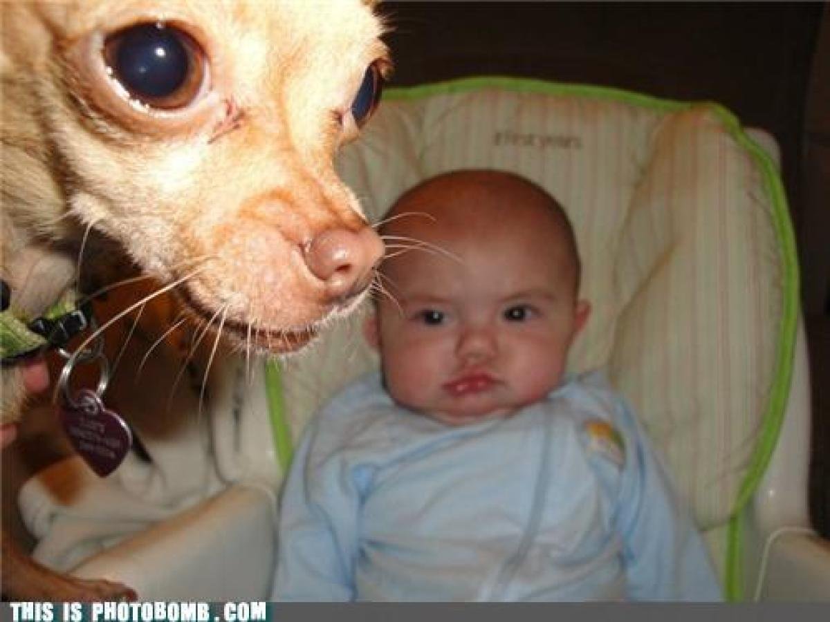 slide_205607_631805_free