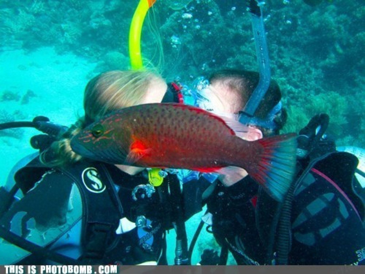 slide_205607_631826_free