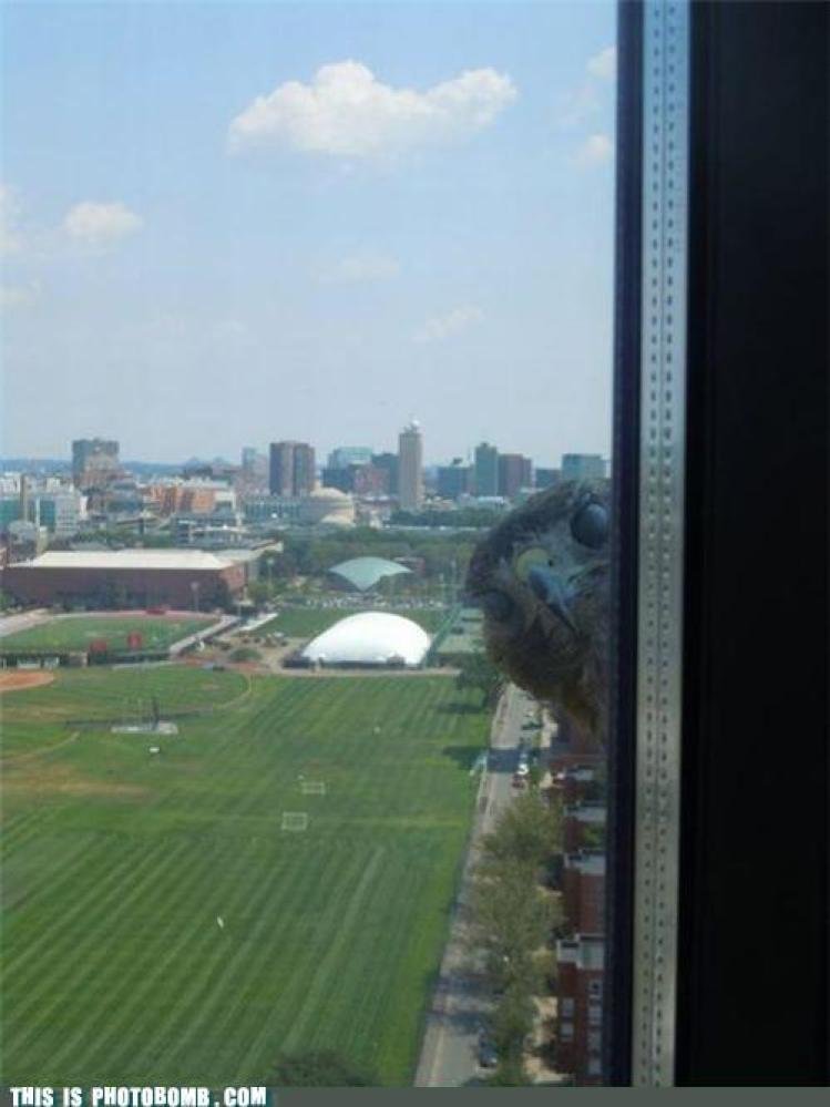 slide_205607_631838_free