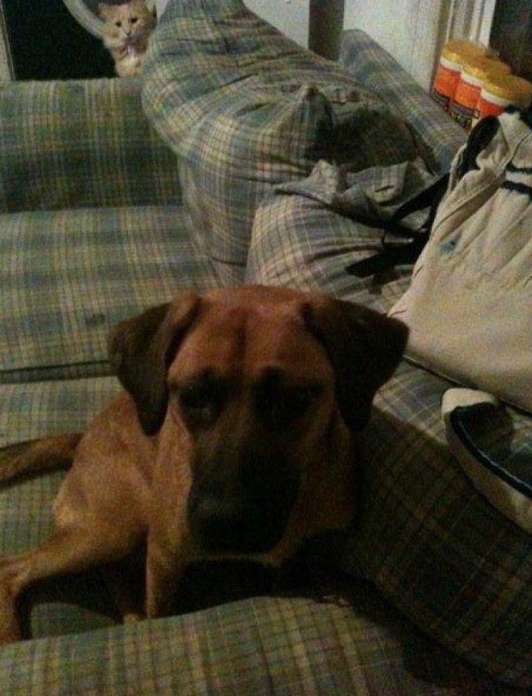 slide_205607_631861_free