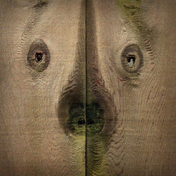 things-with-faces-28
