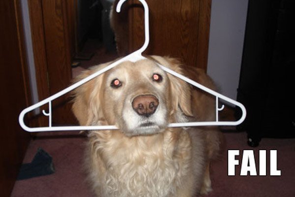 dog fail