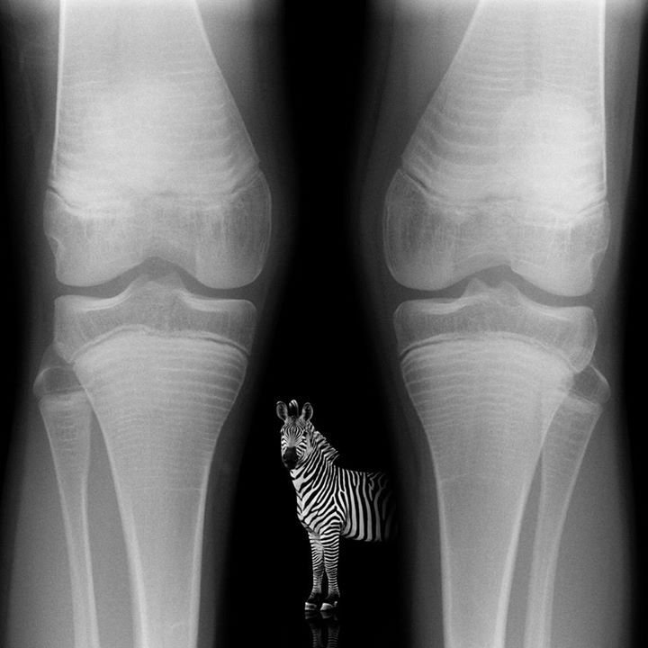 c22488f3f57603e2cba83093a8fc68cf