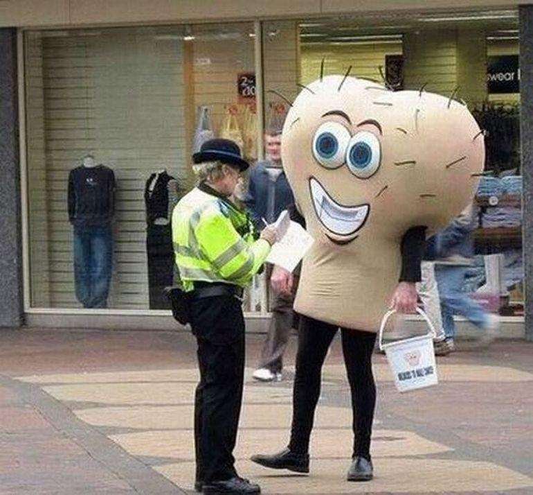 testical-guy-photo-u1