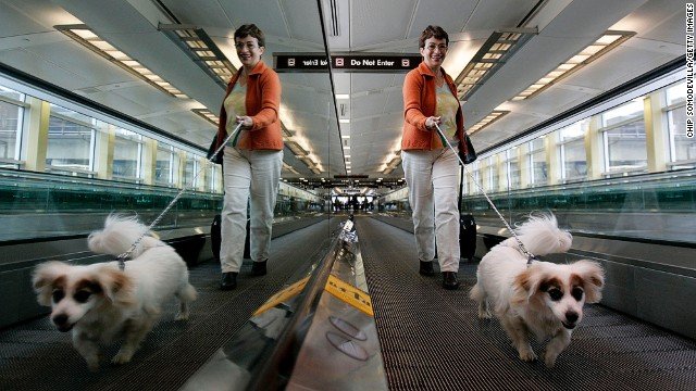 141003130919-11-travelator-airport-behavior-horizontal-gallery