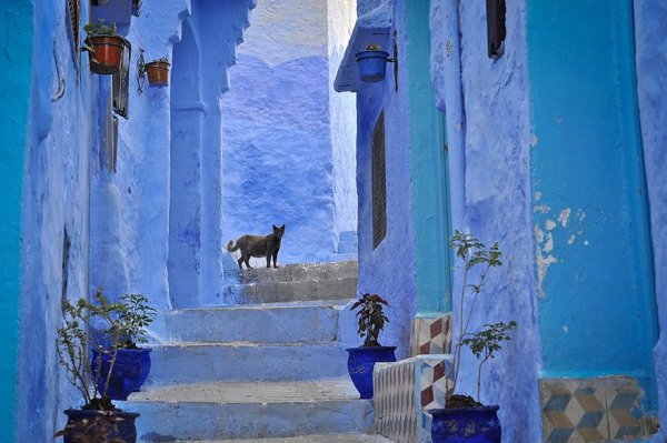 Morocco blue