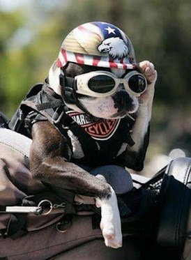 53427cfa53c86b26f736bbb822b90627