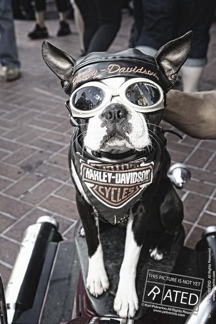 fbea6430ca94cfc0d469f59e7bf722d1