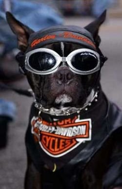 fcca97bc67a65cda7cee278ecdad2609