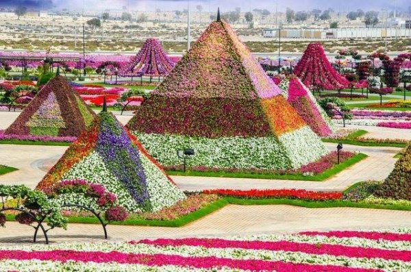 Dubai Miracle Garden