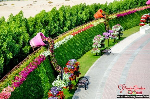 Dubai Miracle Garden